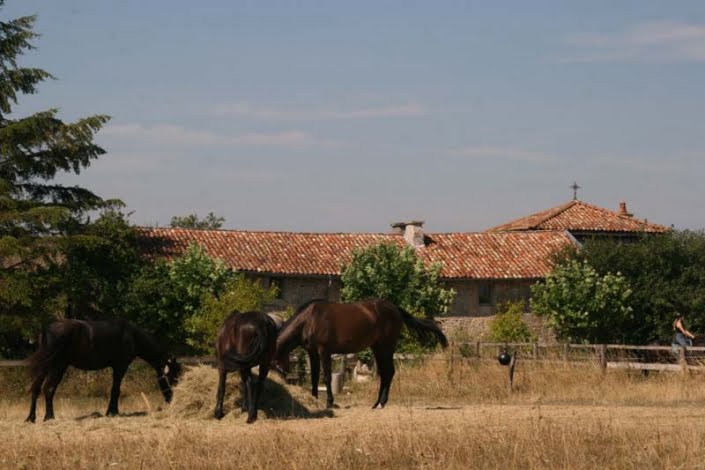 Klooster met wei waar je mag wildkamperen met je buscamper in Frankrijk